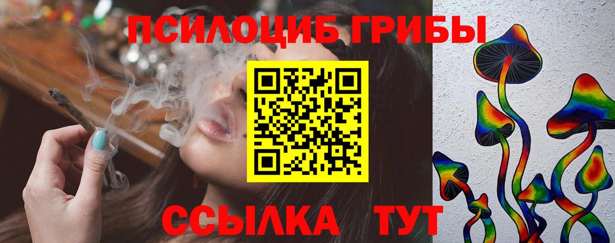 Кировск  Псилоцибиновые грибы Psilocybe  Вход с VPN 