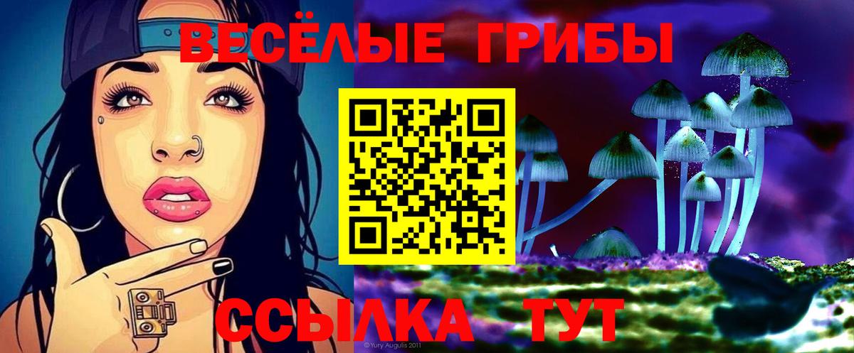 Галлюциногенные грибы GOLDEN TEACHER Кировск
